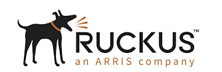 Ruckus Networks