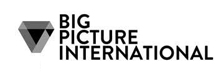 Big Picture International