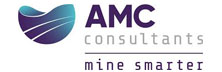 AMC Consultants