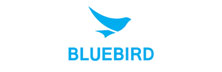 Bluebird
