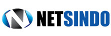 PT. Netsindo Sentra Computama