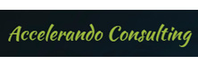 Accelerando Consulting