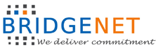 bridgenet solutions