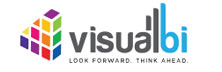 Visual BI Solutions