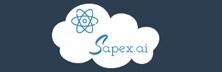 Sapex.ai - Top Salesforce Solutions Providers Sapex.ai