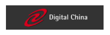 Digital China Group