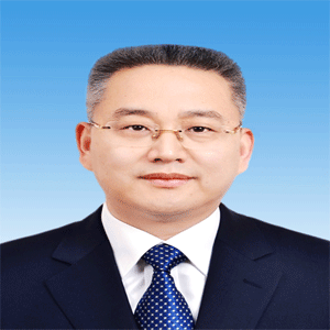 Wang Feng,Chairman of Aeolus, aeolus tyre Wang Feng,Chairman of Aeolus, aeolus tyre