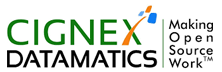 cignex-datamatics