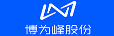 Shanghai BWF Software Technology Shanghai BWF Software Technology