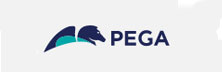 Pega
