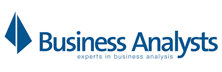 business analysts