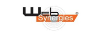 Web Synergies