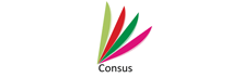 consus global