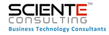 sciente consulting