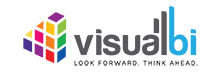 Visual BI Solutions