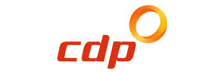 cdp-group-limited