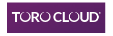 Top Cloud Solution Companies TORO Cloud