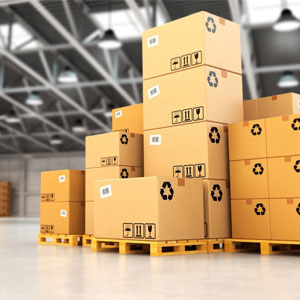 Establishment of a robust wholesale distribution company