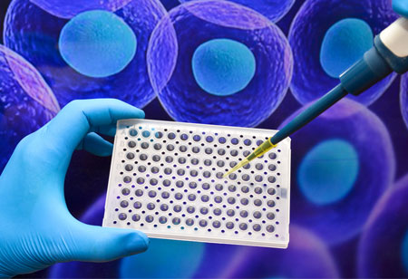 University of Bern and the Netherlands Cancer Institute Use 3D Cell Cultures to Study about Cancer Therapy Resistance