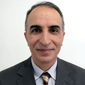 Hybrid Intelligence