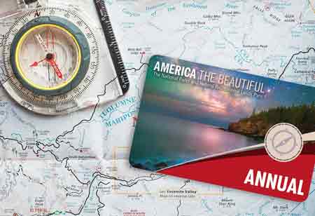 Nippon Passport Raises $1.82 Million to Improve its