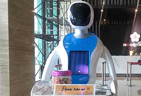 Three Key Areas where Hotel Robotics is Thriving