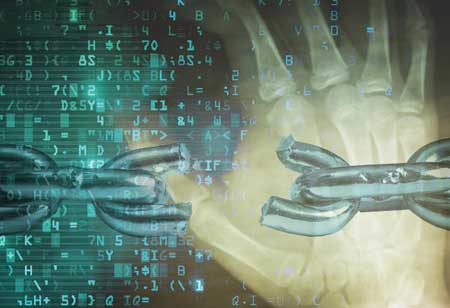 Human Behavior the Weak Link in Cyber Defense