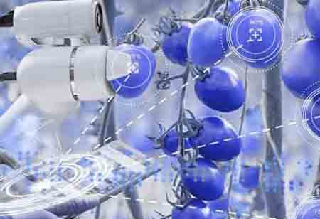 Business-Focused Energy Storage Live Online Course