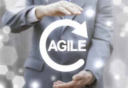 Key Traits of an Agile Organization