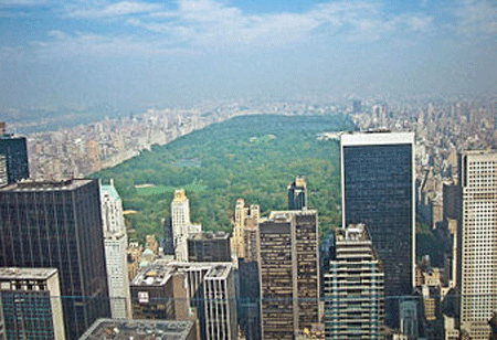 Leading Edge Mobility Sharing Platform Adding Value to Smart City Initiatives