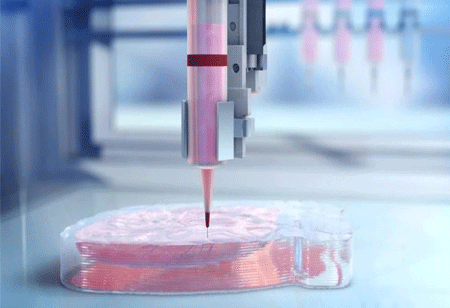 Bioengineers Discover 3D Print Technology for Organ Replacement!