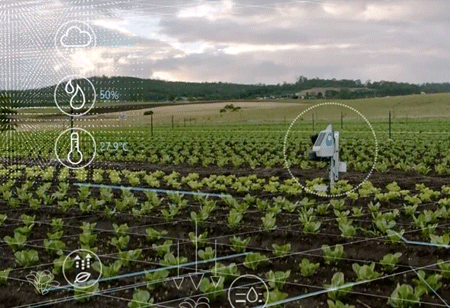 China's Agri-tech Industry is Booming Thanks to Artificial Intelligence
