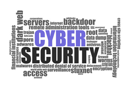 How C-Suite Executives Can Help Combat Cyber Threats