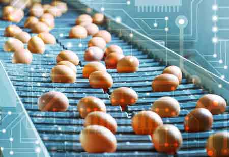 Blockchain-based Agricultural Products Traceability App Hits Chinese Food Markets