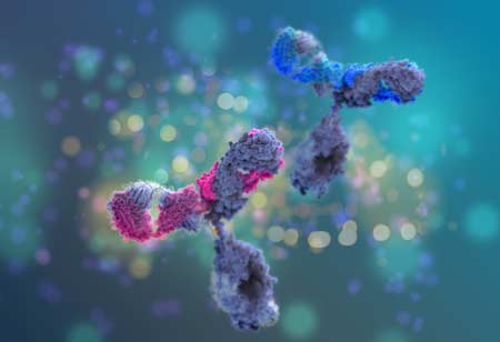 Hummingbird Bioscience Closes Series B Extension Round after Collecting US$25M