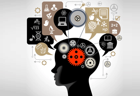 Things Education Leaders Expect from Data Dashboards