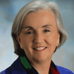 A CEO of IT : Applying Business Transformation Frameworks in Government