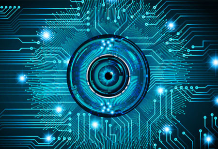 Safeguarding Organizations against Cyber Threats