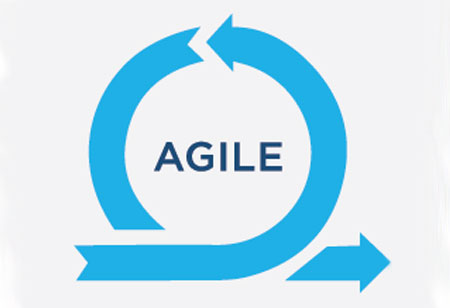 The Role of Management Support in Agile implementations