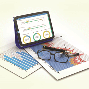 NetSuite: Elevating Business Performances