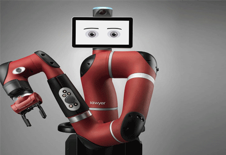 Niche Industries Ready To Use Robots
