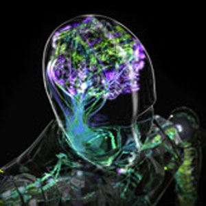 Artificial intelligence propelling supply chain management