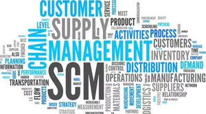 Influence of Growing Blockchain Fatigue on Supply Chain