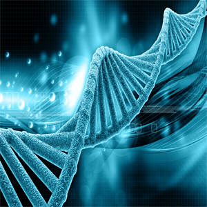 Seegene and Hologic Collaborate to Offer Real-Time PCR Reagents