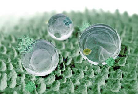 The Magical Conversion of Hydrogel to Rigid Plastic