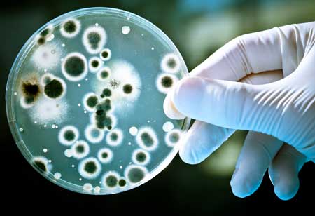 Antimicrobial Resistance Remains a Serious Concern for Global Health